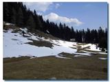 Planina Stamare z Jesenic prek Alničja 